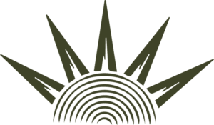 Armorial-style rising sun, inspired by the Brazilian Northeast region.